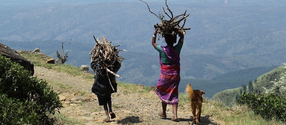 Indian mother and child carrying logs with dog alongside, by Insider Tours